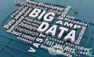 DMX攜手數博會暨物聯網高峰論壇隆重召開，共話物聯網技術研發與應用新篇章