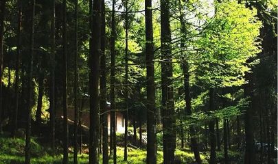 圖說巴中美景 | 林木蔥蘢清風爽，康養勝地天馬山