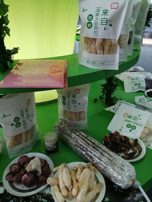 林木展上，這些實惠的林下經濟產品讓人眼饞——以盆景為例